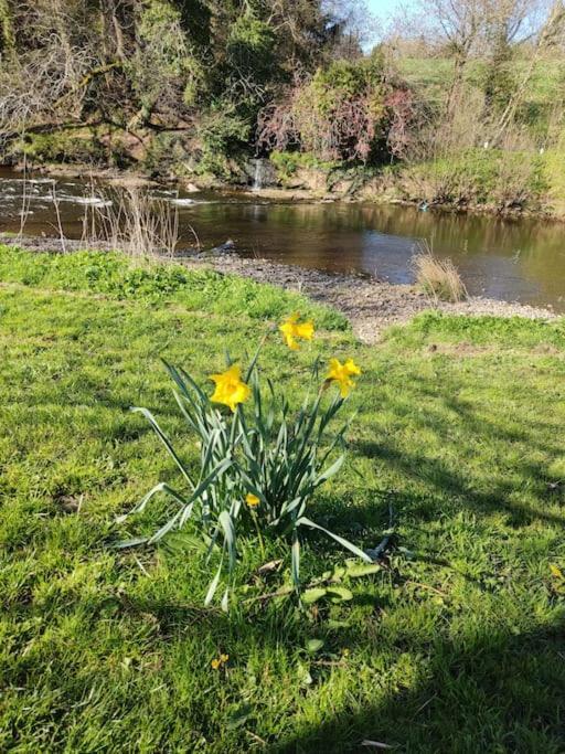 Holiday home Eden House Appleby-in-Westmorland